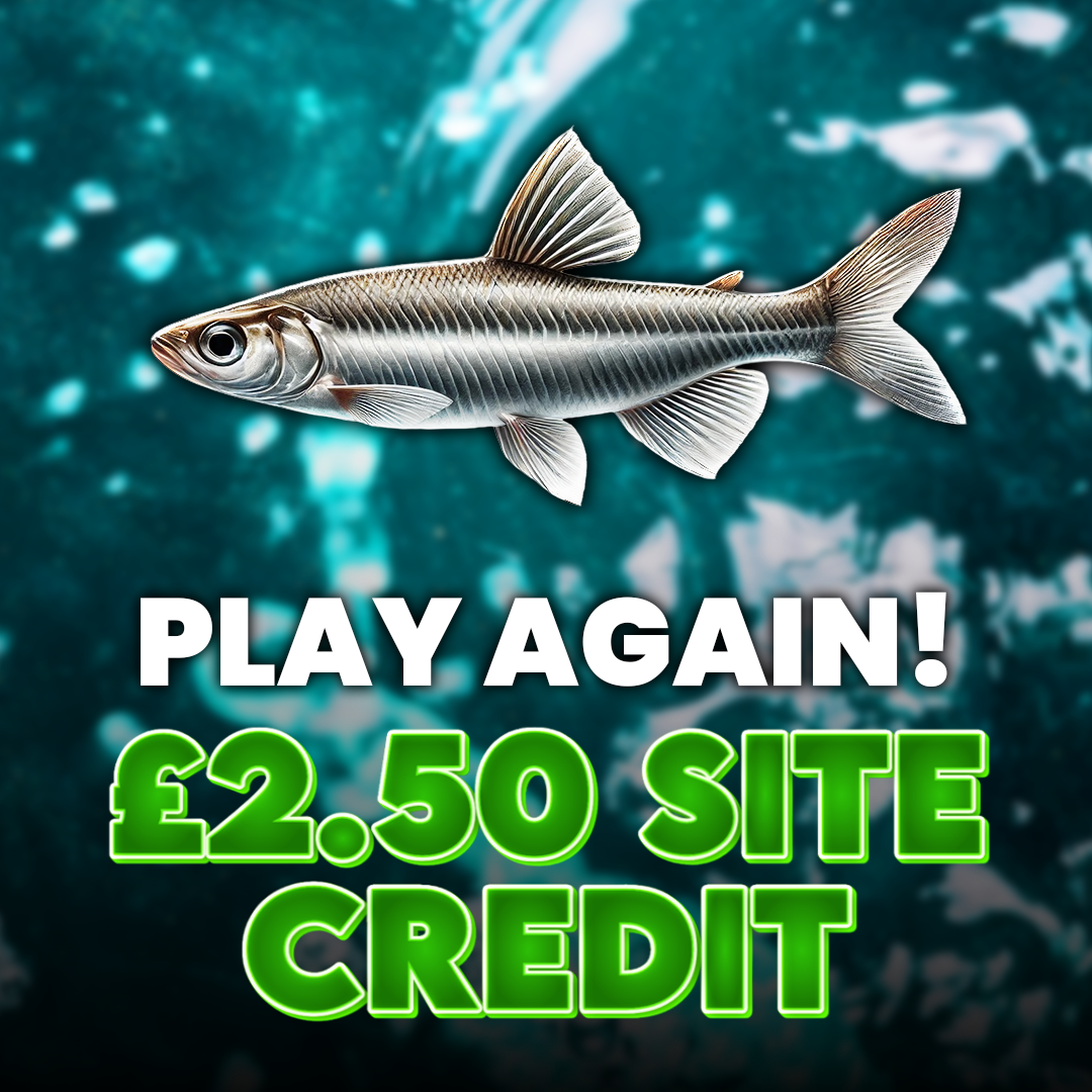 Minnow - Play Again! - £2.50 Site Credit