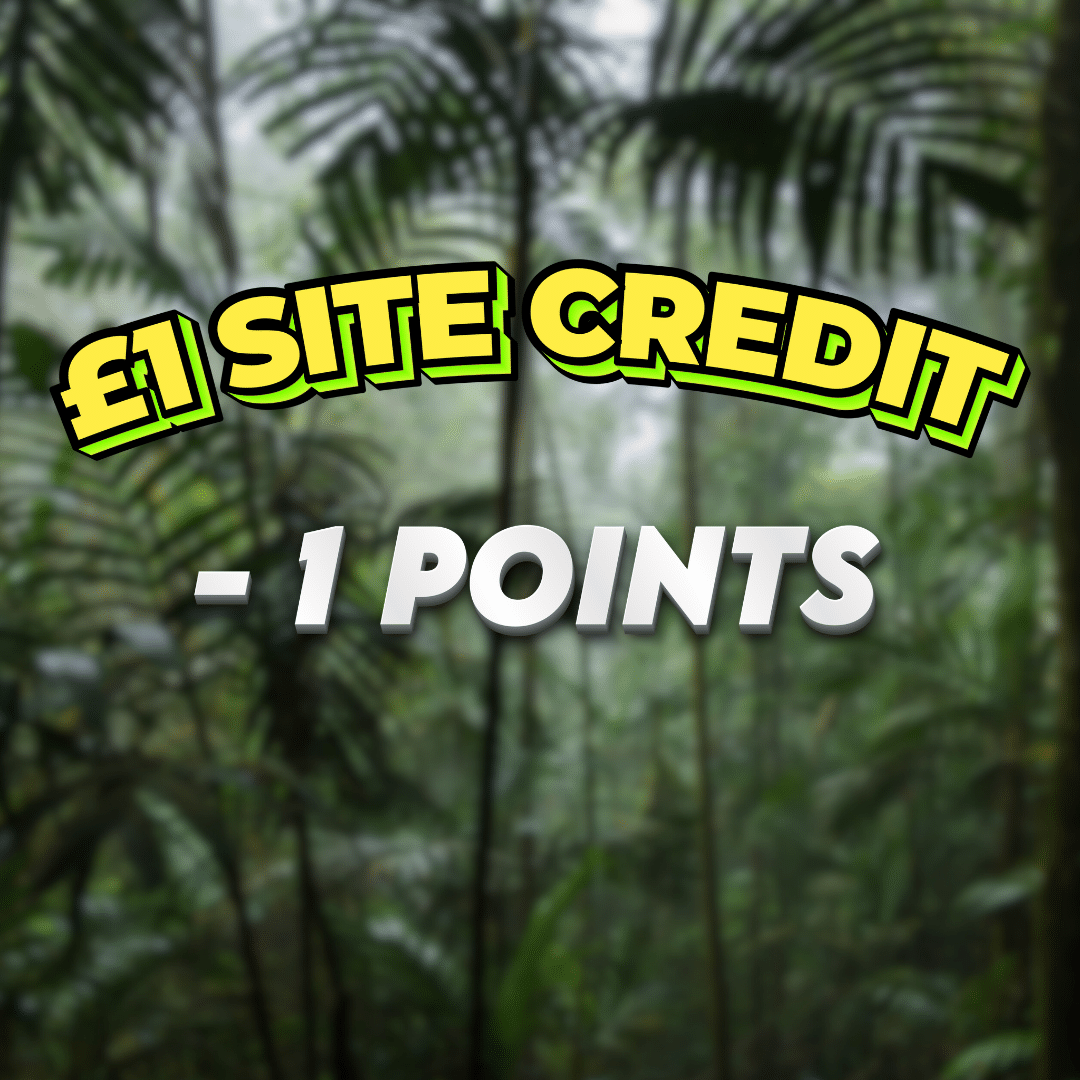 Out of Fuel | £1 Site Credit | -1 Point