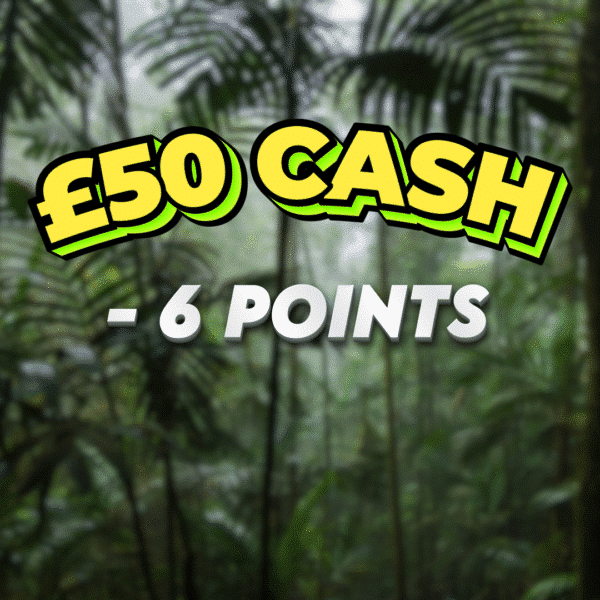 Flat Tyre | £50 Cash | -6 Points
