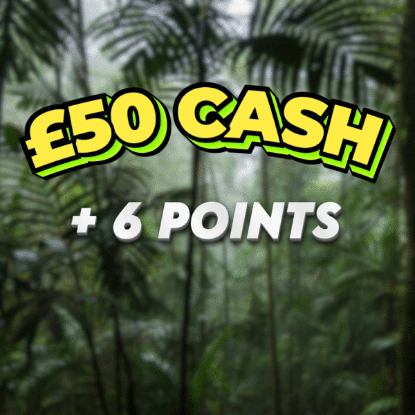 Stegosaurus | £50 Cash | 6 Points