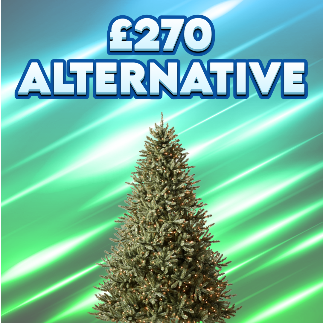Canadian Blue Green Spruce Tree OR £270
