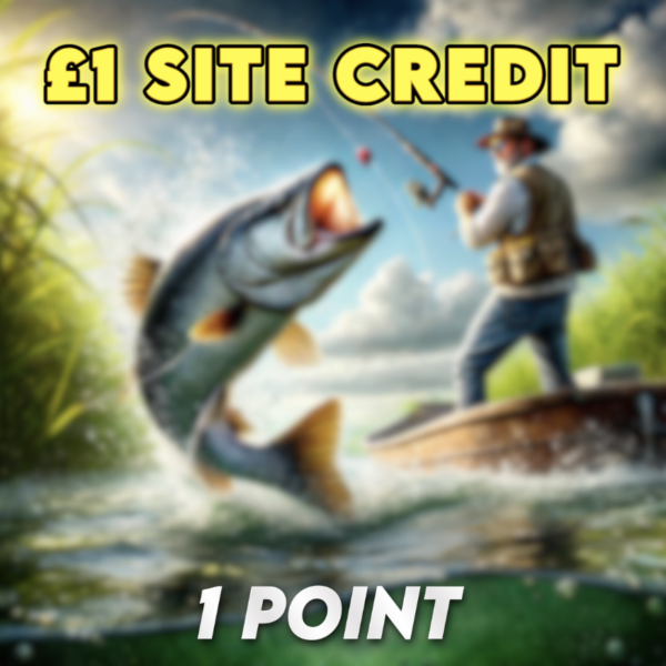 £1 Site Credit | 1 Point