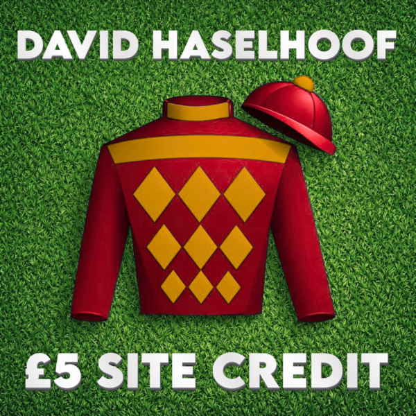 David Haselhoof | £5 Site Credit