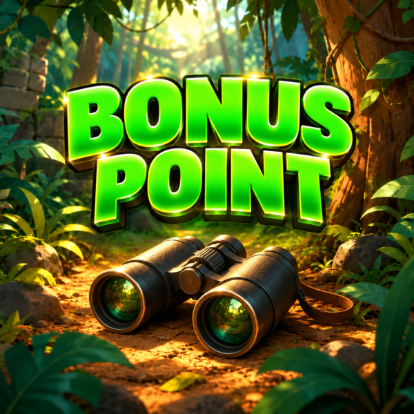 BONUS | 1 Point