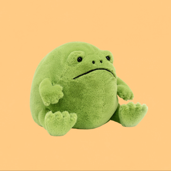 Jellycat Medium Ricky Rain Frog Or £24